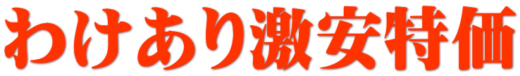 わけあり激安特価 