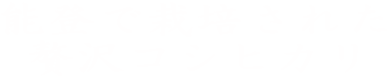 �\�o�ō͔|���ꂽ �ґ�R�V�q�J�� 