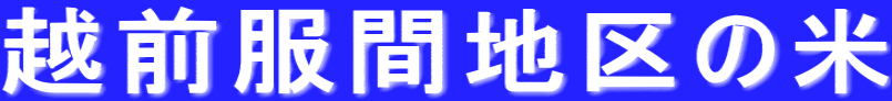 越前服間地区の米