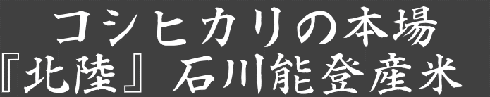 �R�V�q�J���̖{�� �w�k���x�ΐ�\�o�Y��  