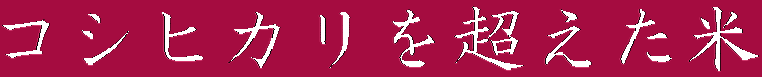 �R�V�q�J���𒴂����� 