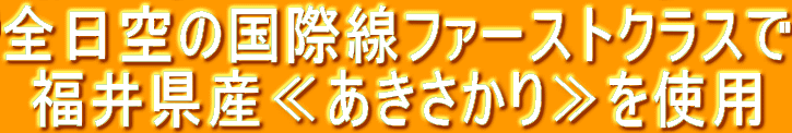 �S����̍��ې��t�@�[�X�g�N���X�� ���䌧�Y�Ⴀ�����������g�p 