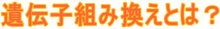 ��`�q�g�݊����Ƃ́H 