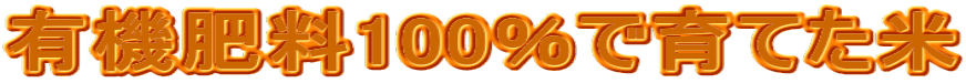 �L�@�엿100���ň�Ă���