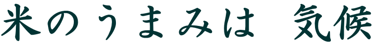 �Ă̂��܂݂�  �C�� 