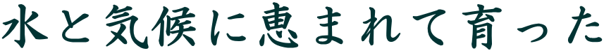 ���ƋC��Ɍb�܂�Ĉ���� 