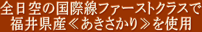 �S����̍��ې��t�@�[�X�g�N���X�� ���䌧�Y�Ⴀ�����������g�p 