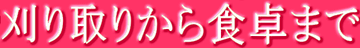 �����肩��H��܂� 