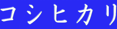 �R�V�q�J�� 