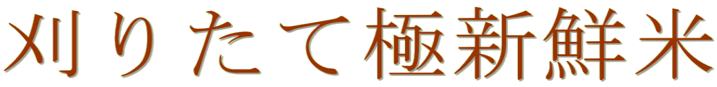 ���肽�ċɐV�N�� 