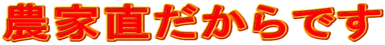 �_�ƒ�������ł�
