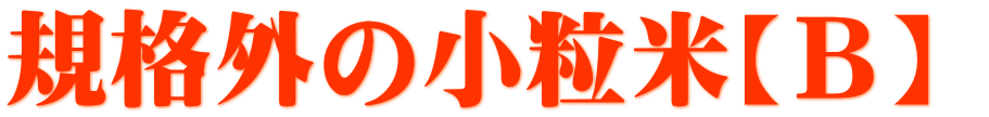 規格外の小粒米【B】 