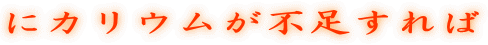 �ɃJ���E�����s������� 