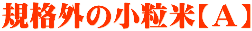 �K�i�O�̏����āyA�z