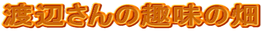 �n�ӂ���̎�̔�