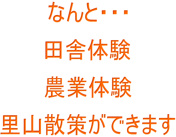 �Ȃ�ƁE�E�E  �c�ɑ̌�  �_�Ƒ̌�  ���R�U�􂪂ł��܂� 
