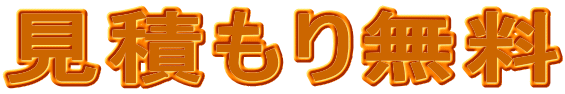 ���ς��薳��