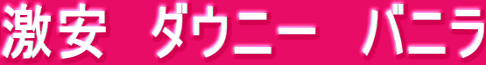�����@�_�E�j�[�@�o�j��