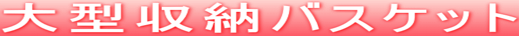 ��^���[�o�X�P�b�g